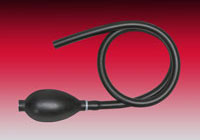 Catalog No. BULB-06
