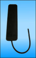 Proto3