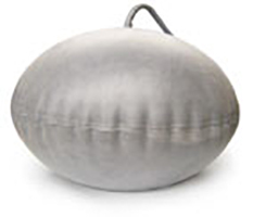 Bladder